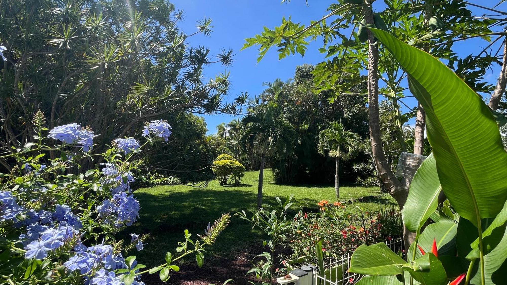 Le Jardin Kerveguen, Calme, Confort Et Deco Unique, Mer A 8 Min, St Pierre-Tampon 400 Ле-Тампон Екстер'єр фото